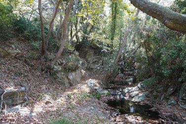 Route View