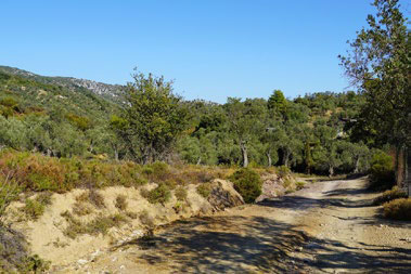 Route View