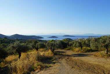 Route View