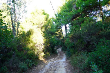 Kalamaki