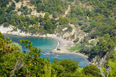 Kechria / Tarsanas