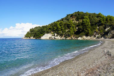 Kechria / Tarsanas