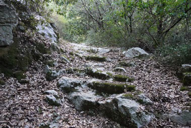 Route View
