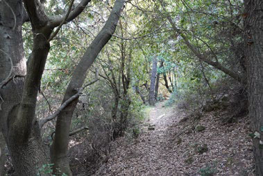 Route View