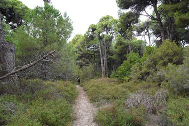 Route View