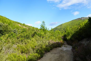 Route View