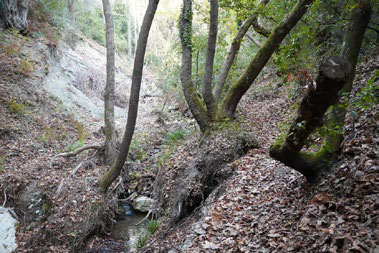 Kechria Creek