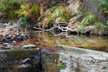 Kechria Creek