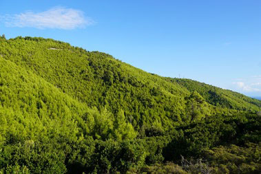 Route View